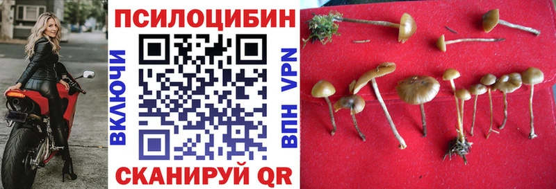 где найти наркотики  Артём  Псилоцибиновые грибы мицелий 